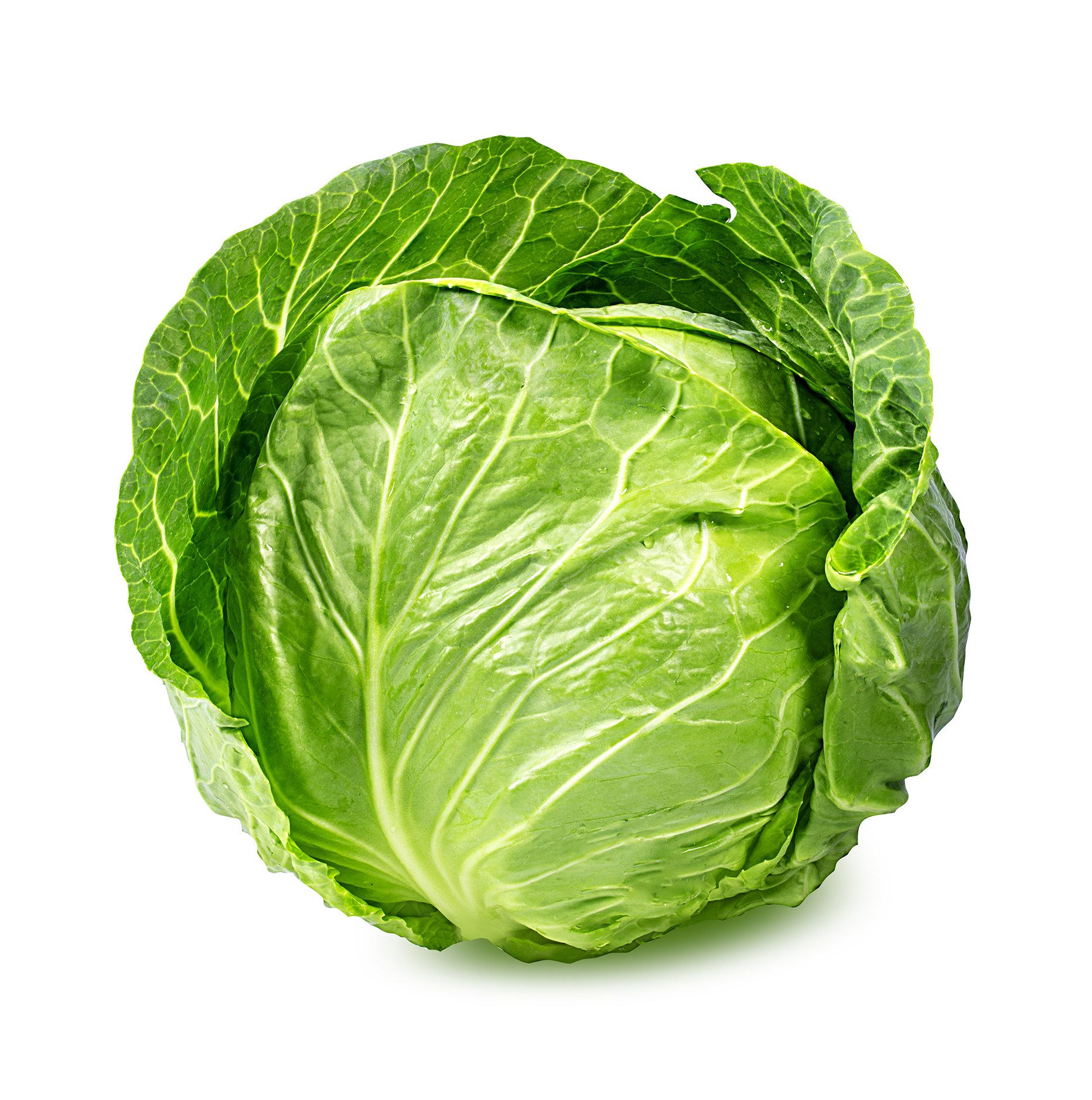 https://jussapparels.com/wp-content/uploads/2021/05/Freshpoint-green-cabbage.jpg